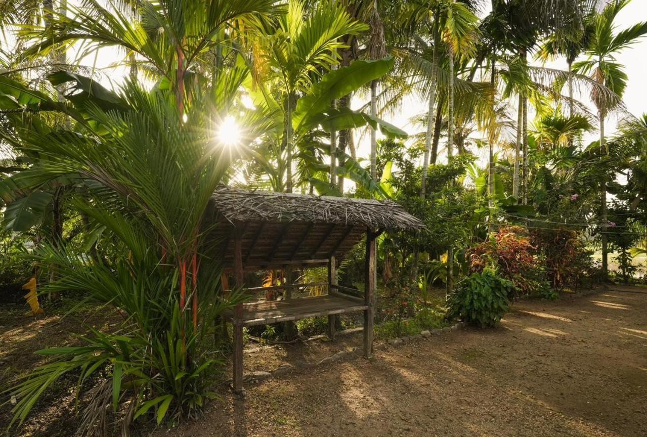 Cocozone Stays Alappuzha 外观 照片